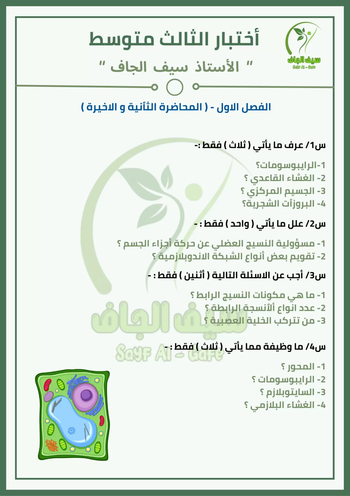 ✨ كتابة احترافية + نسخ وتنسيق + ترجمة دقيقة (عربي/إنجليزي)