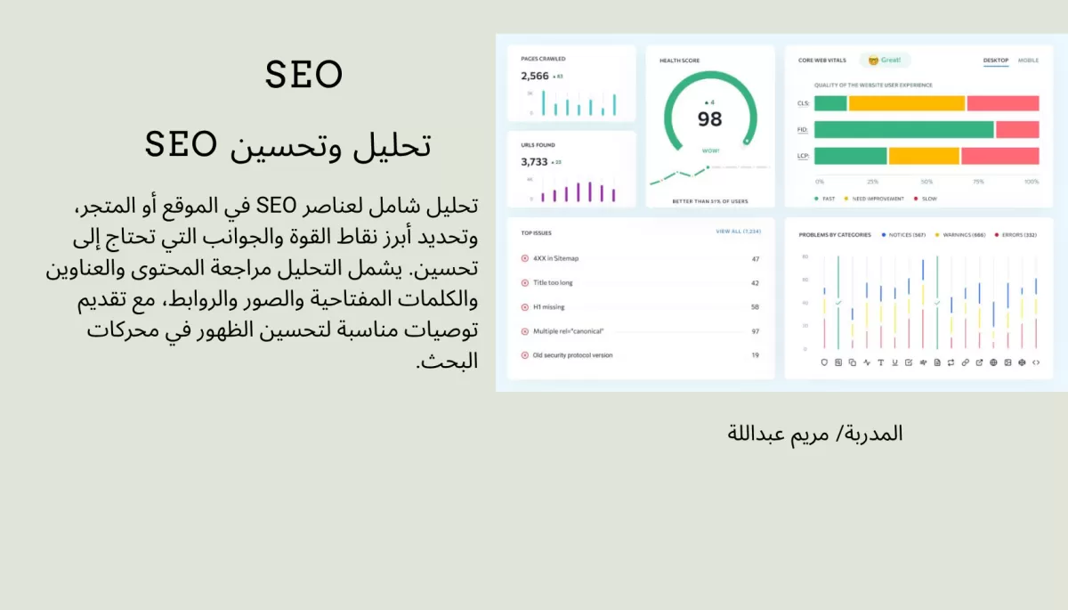 تضبيط SEO (تحسين محركات البحث) لمنتجات المواقع الالكترونية