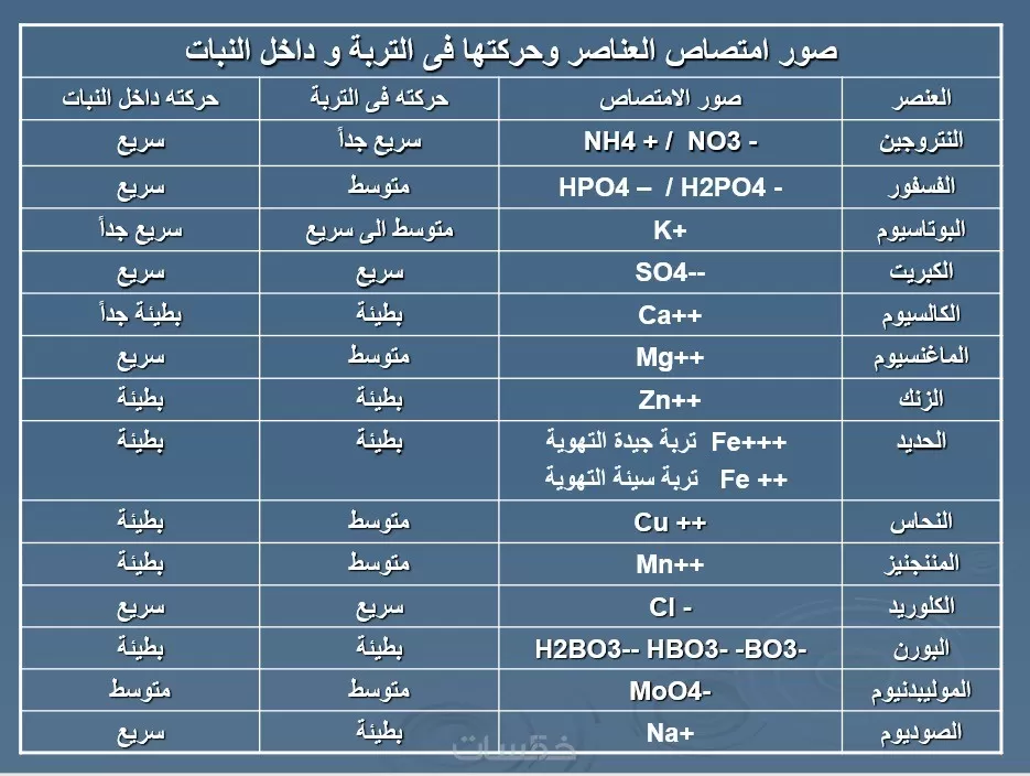 خدمة ادارية