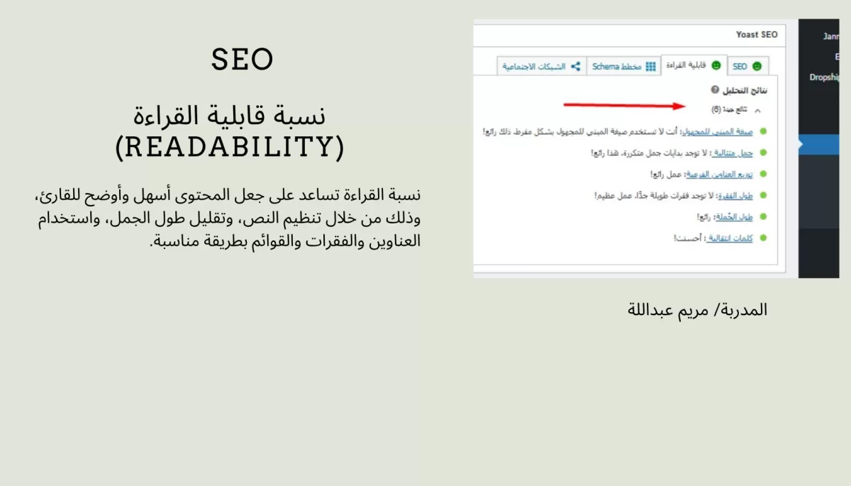 تضبيط SEO (تحسين محركات البحث) لمنتجات المواقع الالكترونية