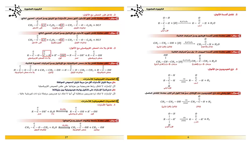 كتابة وتفريغ المحتوى (نصي أو معادلات)  بتنسيق احترافي (20 صفحة)