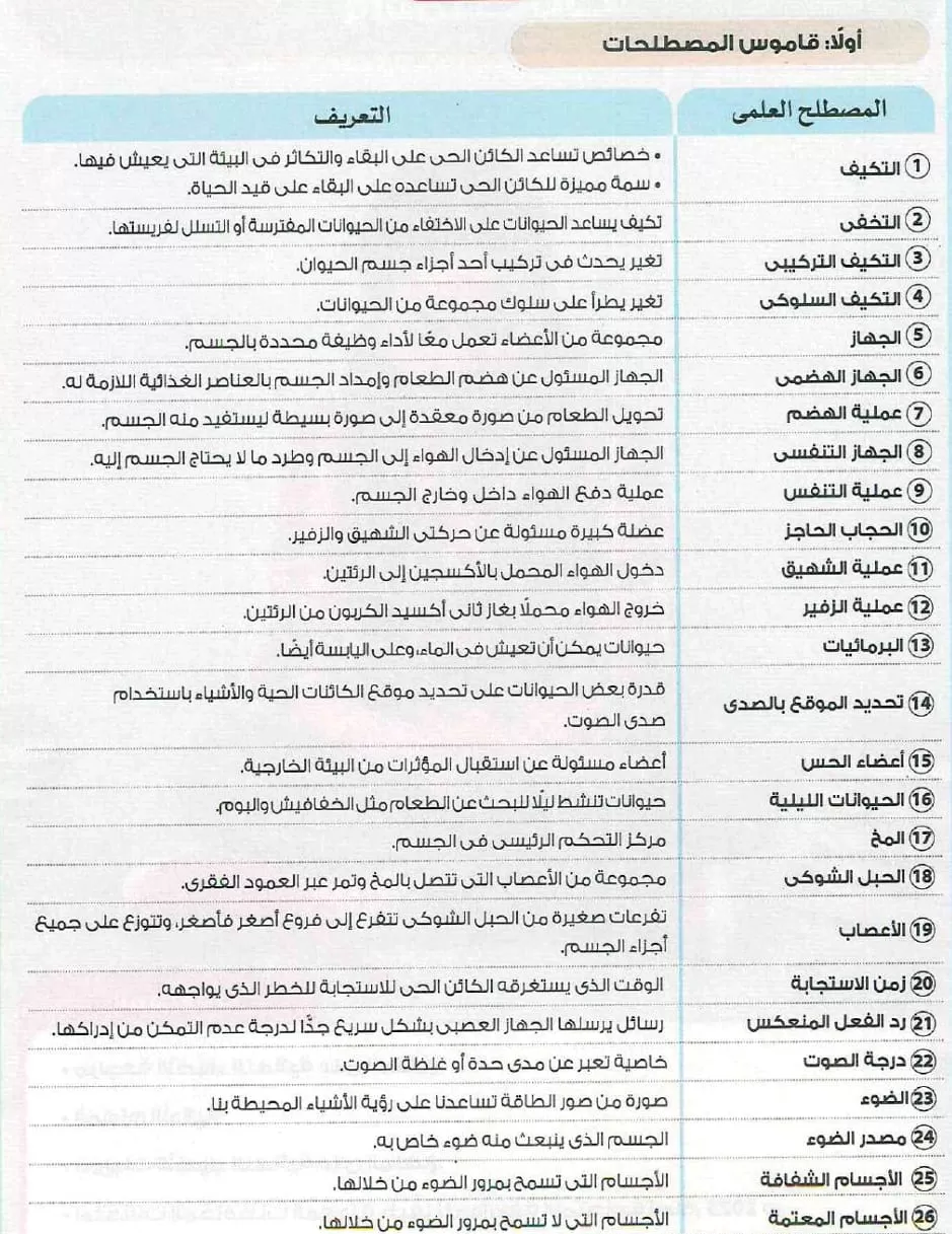 كتابه و تصميم على برنامج Microsoft Word