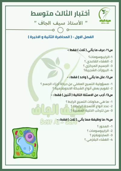 ✨ كتابة احترافية + نسخ وتنسيق + ترجمة دقيقة (عربي/إنجليزي)