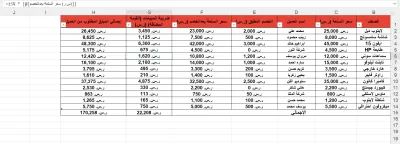 سأقوم بتحليل وتنظيف البيانات وتنسيقها باستخدام برنامج Excel باحترافية