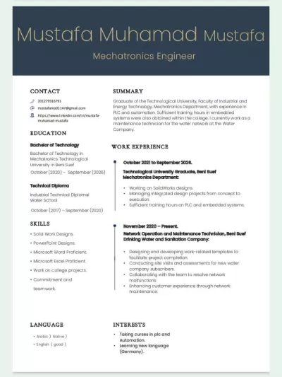 خدمات CVs و الكتابة على Microsoft Word  وعمل شيت Microsoft Excel وعروض Microsoft PowerPoint