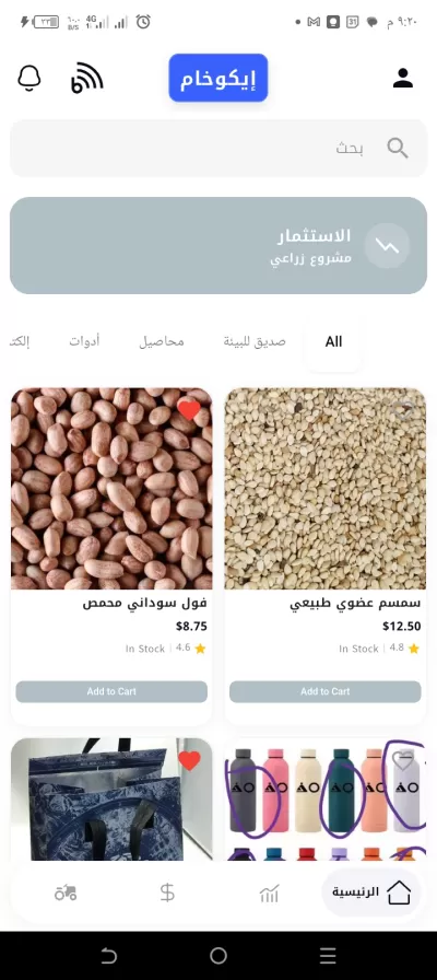 مطور ويب و تطبقيات اندرويد و iOS 