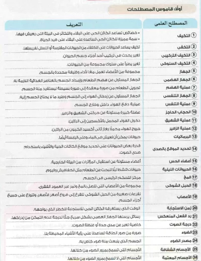 كتابه و تصميم على برنامج Microsoft Word