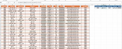 سأقوم بتحليل وتنظيف البيانات وتنسيقها باستخدام برنامج Excel باحترافية