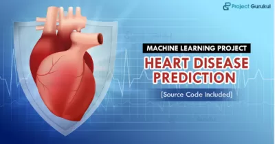 organizing data in Excel or Google Sheets, verifying accuracy, and formatting entries