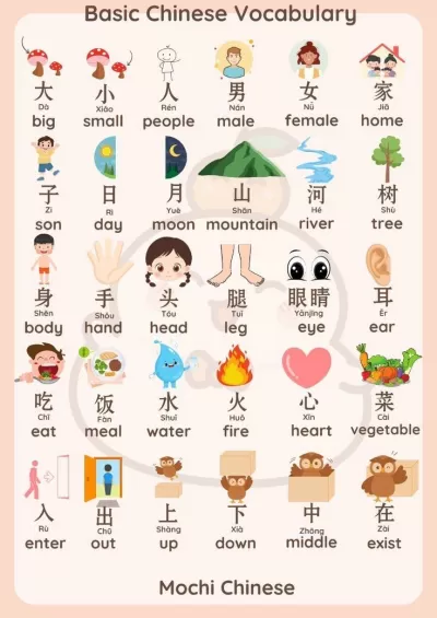 مترجمة محترفة لثلاث لغات (عربي، تركي، صيني) بدقة 100%