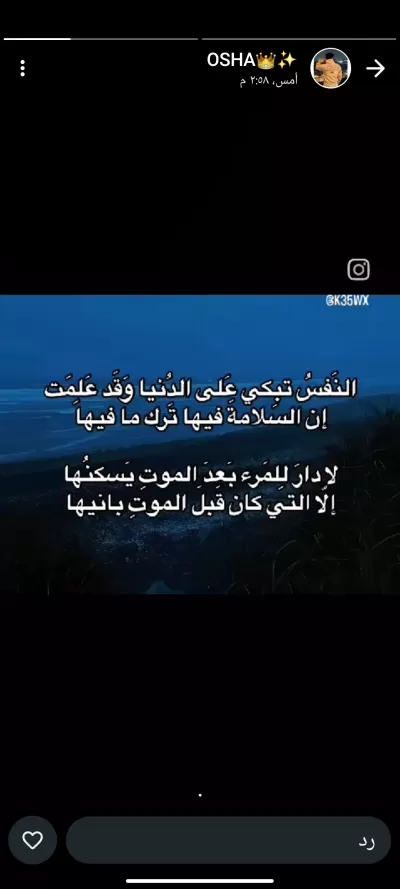 بترجم اي لغة وبعمل مونتاج للفيديوهات وادت للصوت