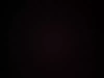 كتابه محتوي والتقارير و إدخال البيانات