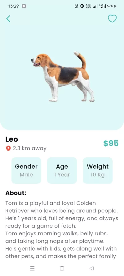 مبرمجة تطبيقات موبايل Flutter Developer