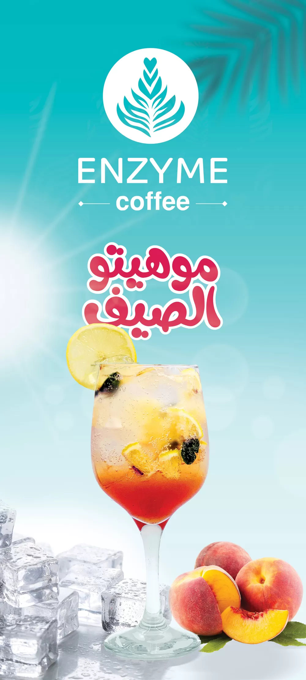 موهيتو الصيف